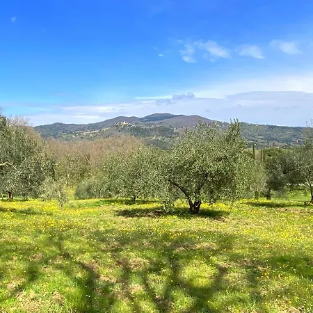 Podere San Giusto Prázdninový dům